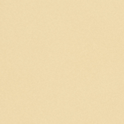 Gold/Blue