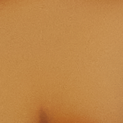 Gold / Tort