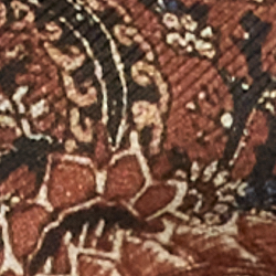 Corteccia cannella