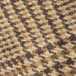 Vicuna