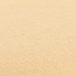 Gold/Navy