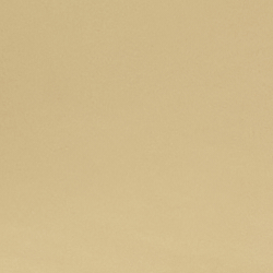 Gold/gold
