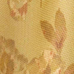 Lauren Camel