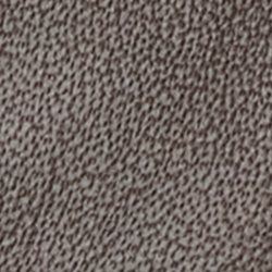 Country Brown