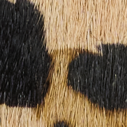 Leopard/Dark Brown