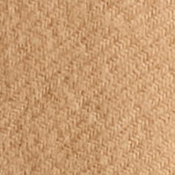 Camel Multi