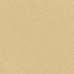 Gold/White