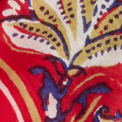 Red Multi