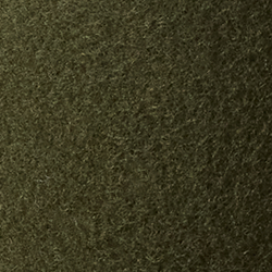 Loden