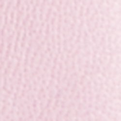 Pink Flamingo