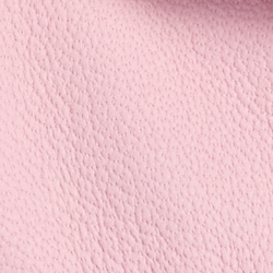 Pink Flamingo
