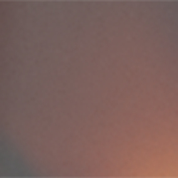 &Eacute;caille brun brillant