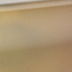 Shiny Tortoise Light Brow