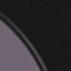 Shiny Black/Purple
