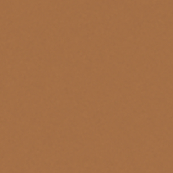 Shiny Brown