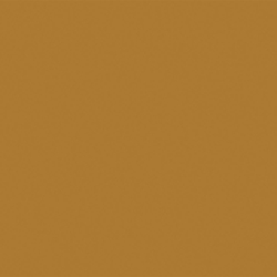 Shiny Tortoise Brown