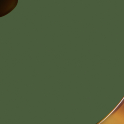 &Eacute;caille brun clair brill.