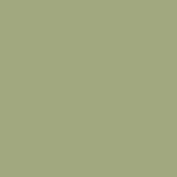 Shiny Pale Gold/Green