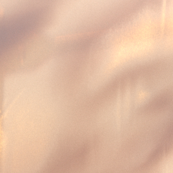 Austernschalen-Braun