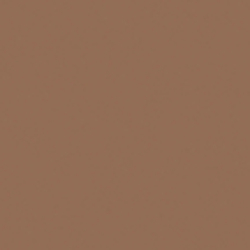 Shiny Silver/Brown