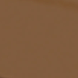 Transparent Dusty Brown