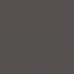 Shiny Silver/Dark Grey