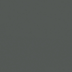 Shiny Pale Gold/Grey