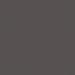 Shiny Silver/Dark Grey