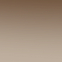 Shiny Silver
