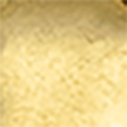 Blue/Gold