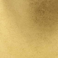 Black/Gold