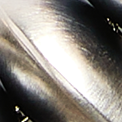 Silver Solid