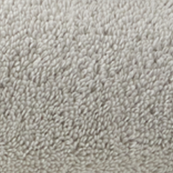 True Pale Grey