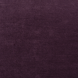 Aubergine