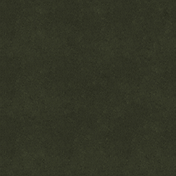 Loden
