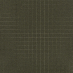 Loden