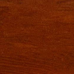 Medium Burl