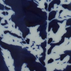 Blue/White