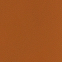 Polished Nickel/Nutmeg