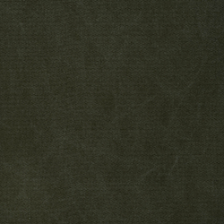 Loden