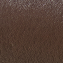 Dark Bronze