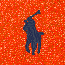 Sailing Orange