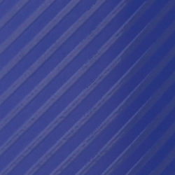 블루/화이트
