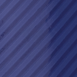 Blue/White