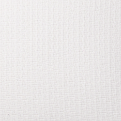 Studio White