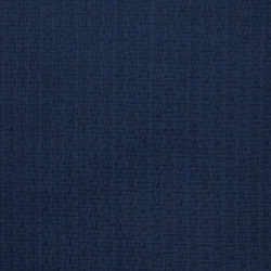 Polo Navy