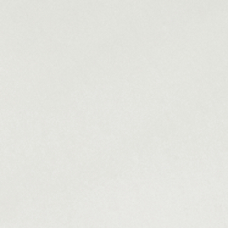 Bone White