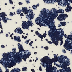 Blue/White