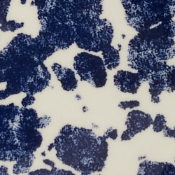 Blue/White