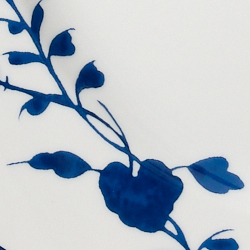 White/Blue